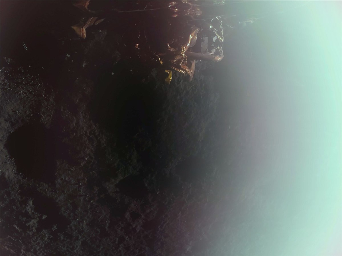 Firefly Aerospace Becomes 1st Commercial Company to Successfully Land on the Moon  Firefly Aerospace, Inc &copy;