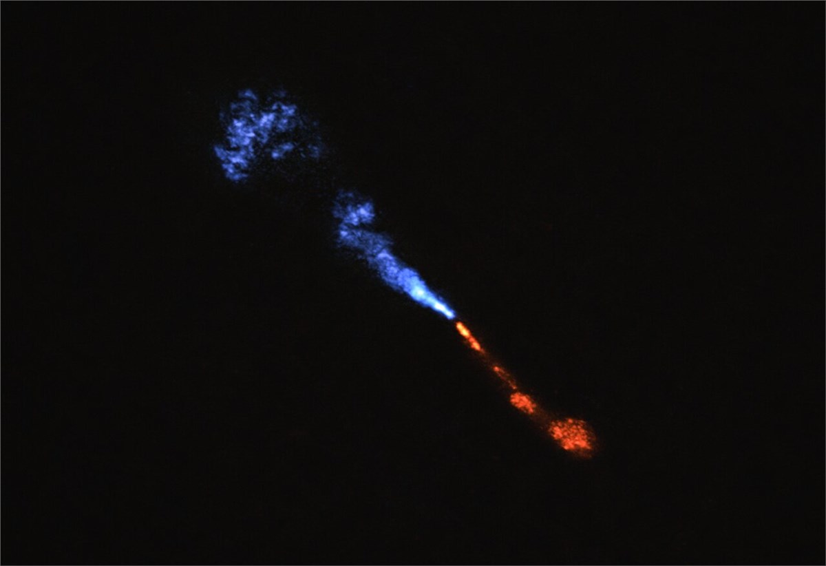 for the First Time, Astronomers Witness the Dawn of a New Solar System Jets of silicon monoxide in baby star HOPS-315 European Southern Observatory (ESO) &copy;