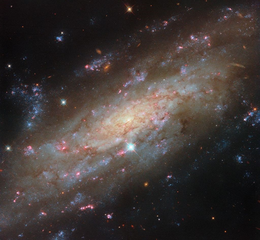 Hubble Spots a Starry Spiral  ESA/Hubble & NASA, D. Thilker and the PHANGS-HST Team &copy;