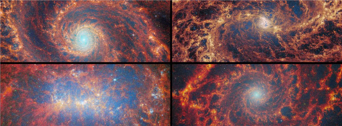 Webb & Hubble Find Massive Star Clusters Emerge Faster Nearby star-forming FEAST galaxies ESA/Webb, NASA & CSA, A. Pedrini, A. Adamo (Stockholm University) and the FEAST JWST team &copy;