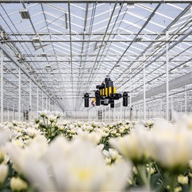 Image - Honeybees Teach Drones How to Navigate