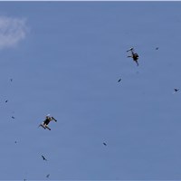 Joint Interagency Task Force 401 Awards $500M Counter-UAS Contract